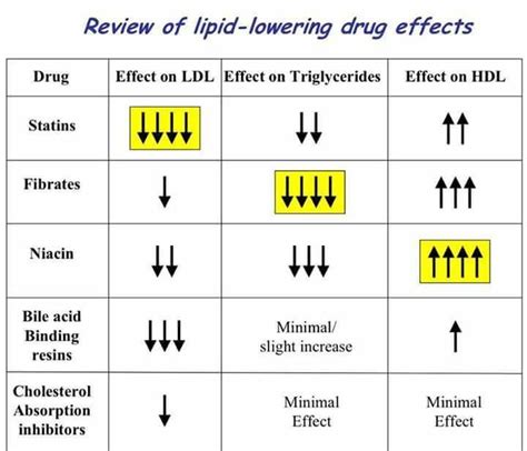 Pin on pharmacology