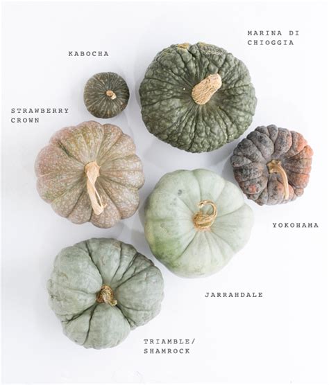 Heirloom pumpkin varieties for fall | Party + Entertaining Ideas | 100 Layer Cake