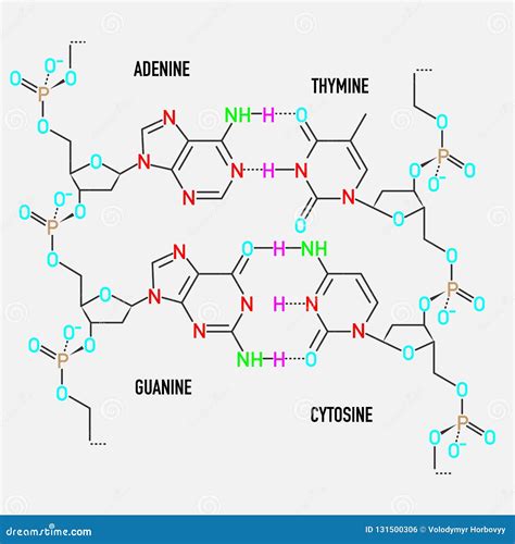 DNA molecule structure stock vector. Illustration of gene - 131500306