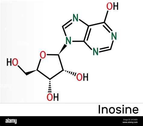 Inosine molecule. It is purine nucleoside, commonly occurs in tRNA. Consists of hypoxanthine ...