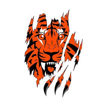 ENDORSING: Reasons why Bengals proves to be the team... - Matchsportnews