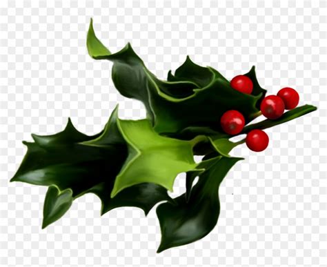 holly and ivy border clipart 10 free Cliparts | Download images on ...