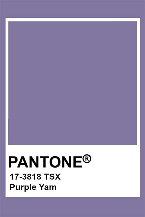 Pantone Purple Yam | Kleurenpalet, Kleuren, Kleur trends