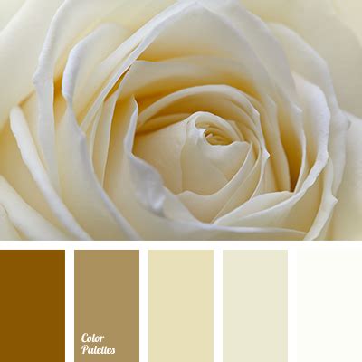 Warm Palettes | Color Palette Ideas | Cream color scheme, Color palette, Gold color palettes