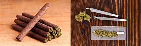 Blunt vs Joint — How Are They Different? (Comparison)