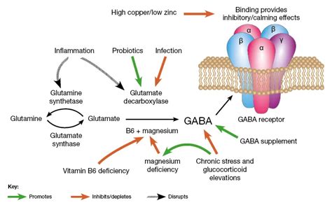 GABA A - Deepening into the classes of this receptor // GABA A - Ap...