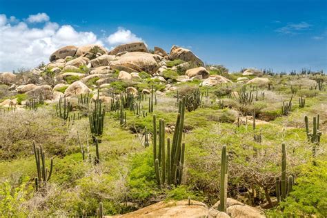 Experience Aruba's best through these spectacular photos