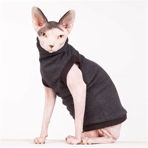 BEATNIK – Sphynx Cat Wear