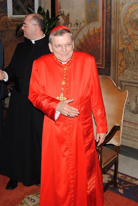 Cardinal Burke as Pope: Answering Two Common Objections ("Does He Know ...