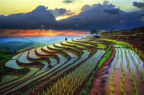 Rice filed of terraces in Chiangmai by Tetra on 500px Pabongpiang rice filed @ Mae Jam ...