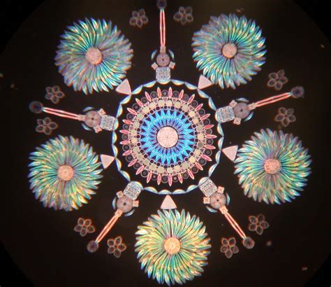 DEEP BLUE HOME: PSYCHEDELIC DIATOMS