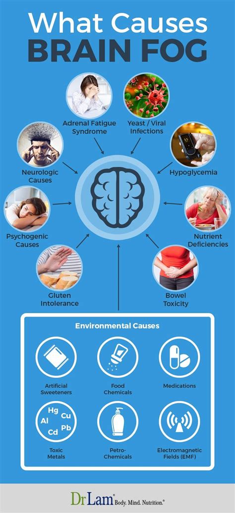 Clear Your Mind: Tips for Improving Concentration and Memory