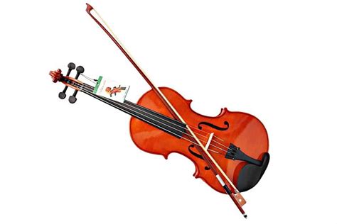 Instrumentos de Cuerda, MÁS de 10 ejemplos de Instrumentos