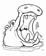 Hippo Coloring Pages sketch template