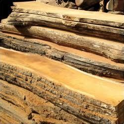 Shisham Tree Wood at best price in Sriganganagar by Bhamra Timber Store | ID: 19331385488