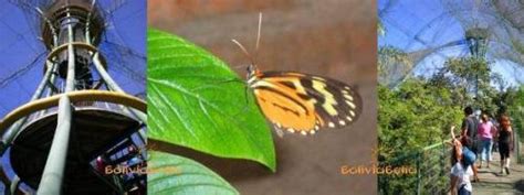 The Guembe Butterfly Sanctuary (Mariposario Guembe) Resort Hotel and Park