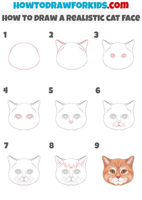 How to Draw a Realistic Cat Face - Easy Drawing Tutorial For Kids