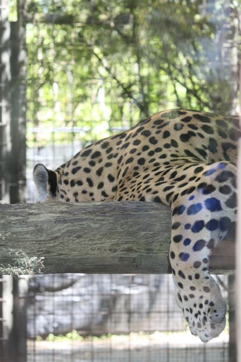 The Robertson Family: New Orleans Zoo