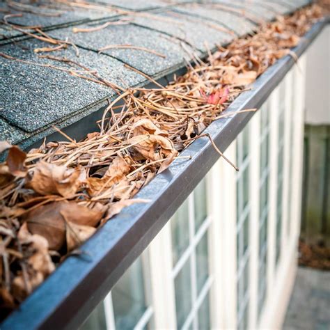 9 Must Have Tools for Cleaning Gutter | The Family Handyman
