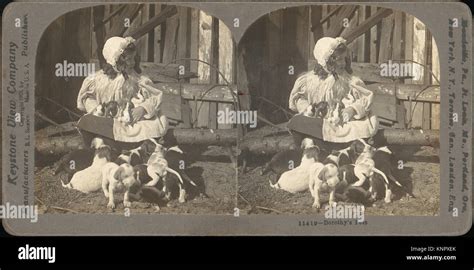 31 stereograph hi-res stock photography and images - Alamy