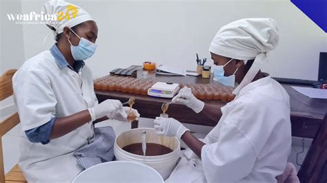 Madagascar's Niaouli Honey, Highly Prized by the Population