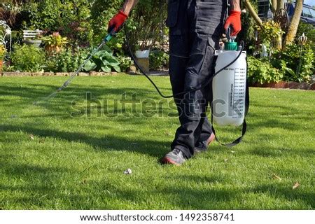 LAWN-WEED-CONTROL Stock Photos and Images - Avopix.com