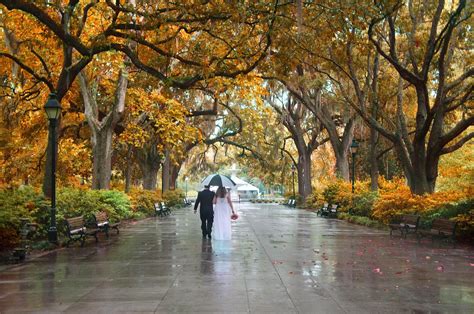 Forsyth Park in the Fall | Savannah, GA | Savannah chat, Travel ...