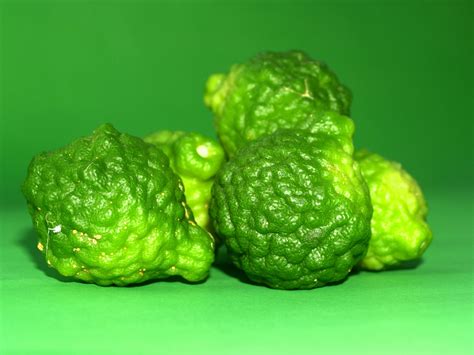 Bergamot Fruit Free Stock Photo - Public Domain Pictures