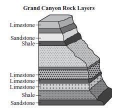 Sedimentary rock layers diagram Diagram | Quizlet