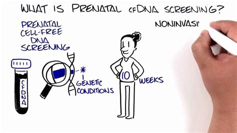 Prenatal Cell-Free DNA Screening (cfDNA Screening) - YouTube