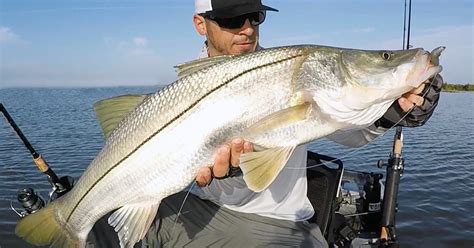 Monster Snook Barely Landed Using SECRET NEW LURE