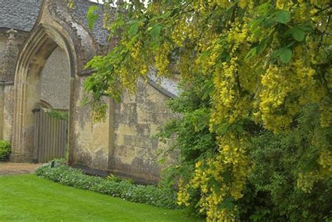 Lacock Abbey, Wiltshire | Historic Wiltshire Guide