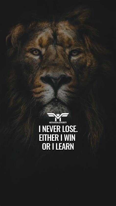 MotivationalQuote, king, lion, motivation, motivationalquotes, quote ...