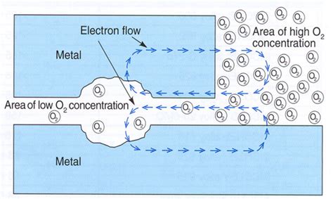 - Mechanism of crevice corrosion. | Download Scientific Diagram