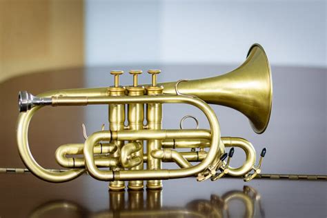 How to Play the Cornet Even If You've Never Played Before