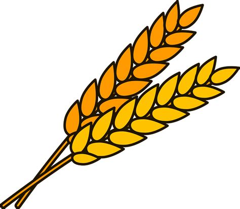 Harvesting Wheat Clipart Pictures