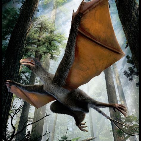 Chinese Dinosaur Had Bat-Like Wings and Feathers