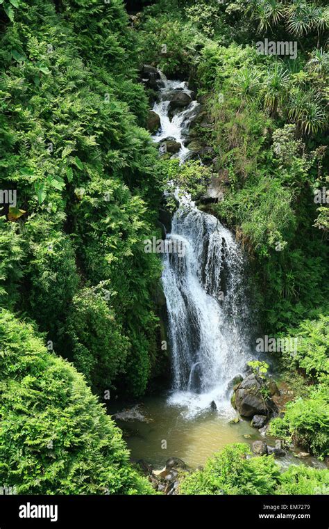 USA, Hawaii Islands, One of many waterfalls along Hamakua Coast with ...