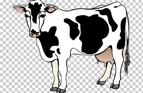 Holstein Friesian Cattle Dairy Cattle Free Content PNG, Clipart, Animals, Black, Cartoon Cow ...