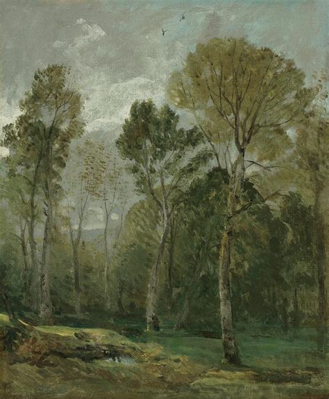 View Of A Copse Painting by Celestial Images - Fine Art America