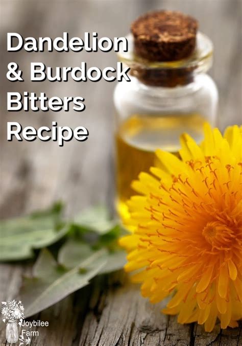 Dandelion Burdock Bitters Recipe for Better Health and Tastier ...