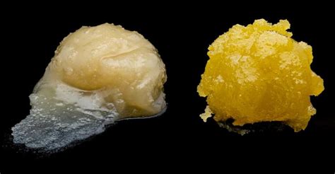 Resin vs Rosin: Which is Better? | Buy Low Green | Buy Weed Online