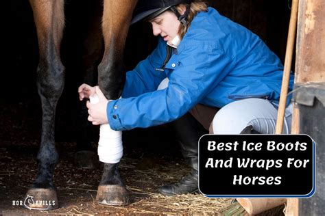 10 Top Ice Boots & Wraps for Horses in 2024 - Expert Reveals