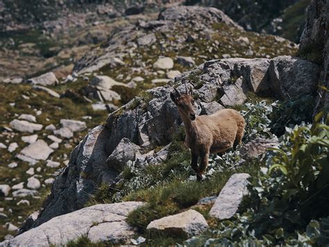 Thru-hiking the Italian Alps - 3 months, from West to East