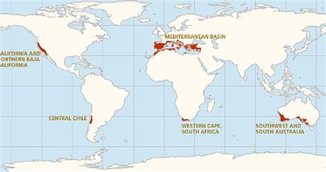 Climate Types for Kids | Mediterranean Climate | Mediterranean ...