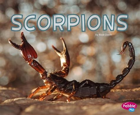 Scorpions (Meet Desert Animals) - Davin, Rose: 9781515746010 - AbeBooks