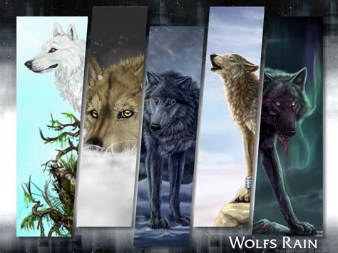 Wolf's Rain Wallpapers - Top Free Wolf's Rain Backgrounds - WallpaperAccess