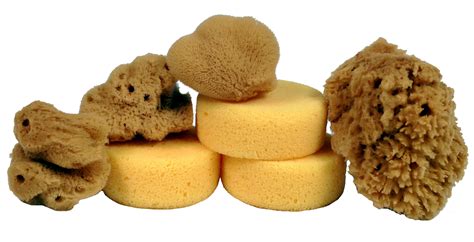 Creative HobbiesÂ® Synthetic and Natural Silk Sponges for Painting, Crafts, Ceramics, Pottery ...