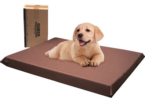 3" Waterproof Gel Memory Foam Pet Bed with Vibrant Color - 2 Sizes in – Dogbed4less