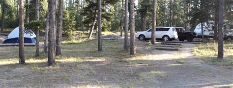 Fishing Bridge RV Park Campground - 4 Photos, 1 Reviews - Yellowstone